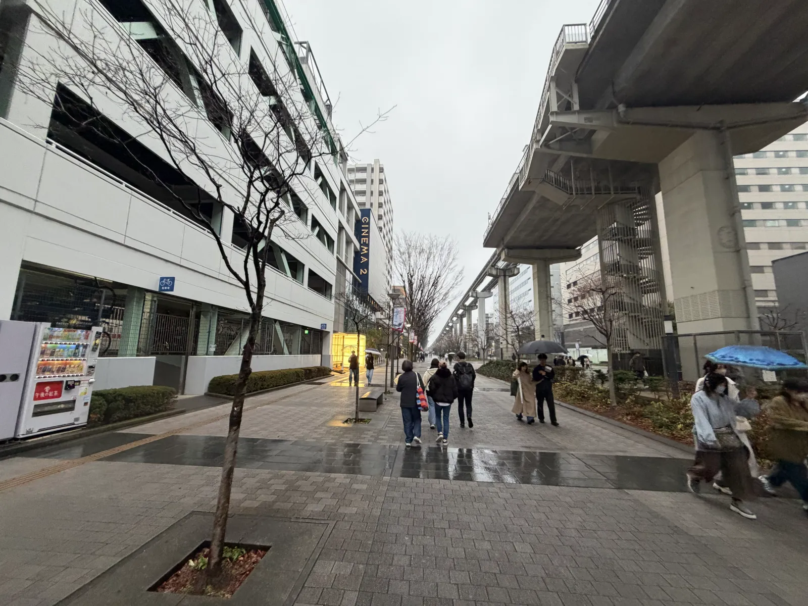 毎週映画を観に行っていました